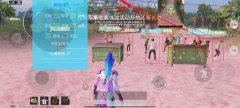 t2电竞辅助和平精英闪退怎么办（t2电竞辅助如何影响和平精英的游戏体验？）