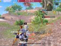 仙阁和平精英辅助怎么用（仙阁和平精英辅助对游戏体验的影响是什么？）
